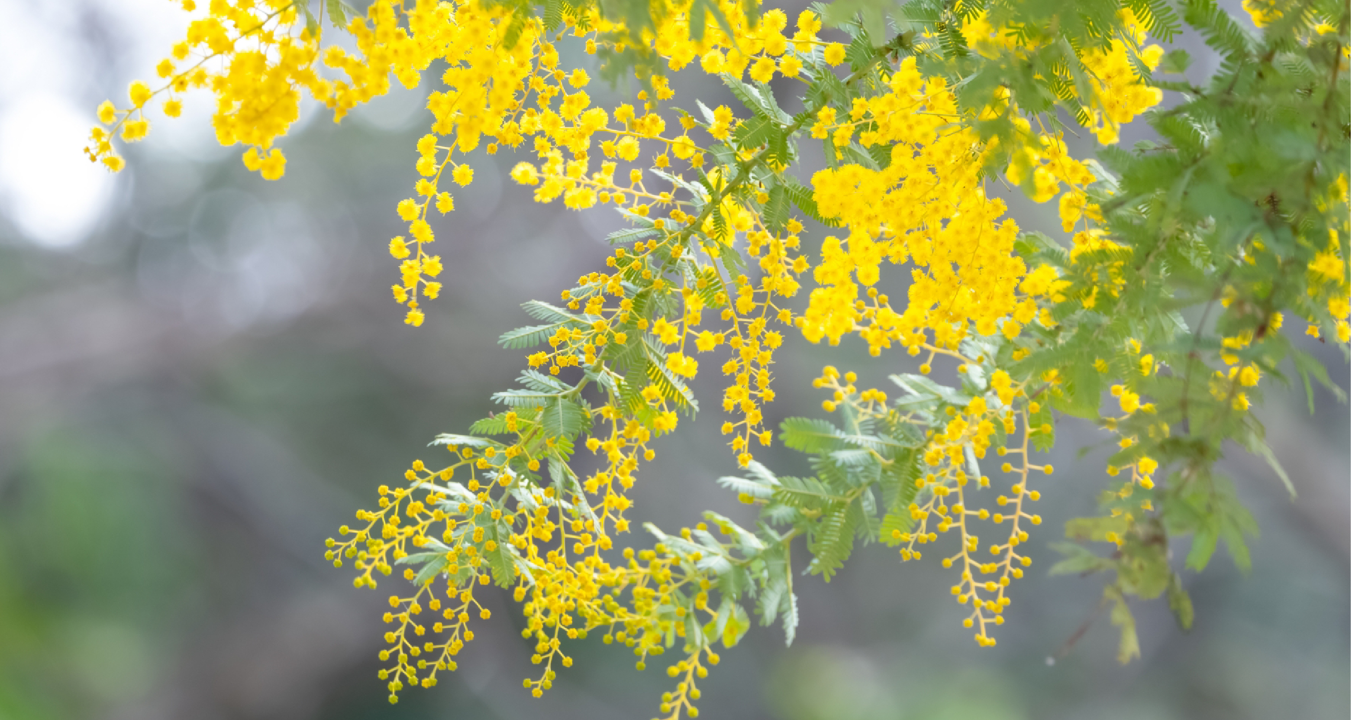 かむいホーム熊本本荘はご利用者さま同士楽しく過ごせる施設